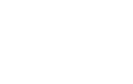 VINTEGA VINTEGA